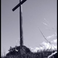 XXIV Niedziela Zwykła - 14 września 2008r.