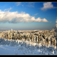 V Niedziela Zwykła - 7 lutego 2010r. 