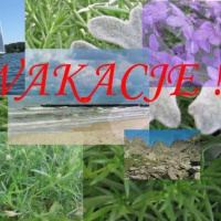 WAKACJE!!!