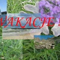 WAKACJE!!!