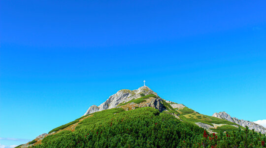 360_F_390921168_Ck7hbb5Ha3VrKTr1QDc6SGswDRIifMbh.jpg